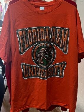 Gildan Orange Florida A&M University Graphic Tee
